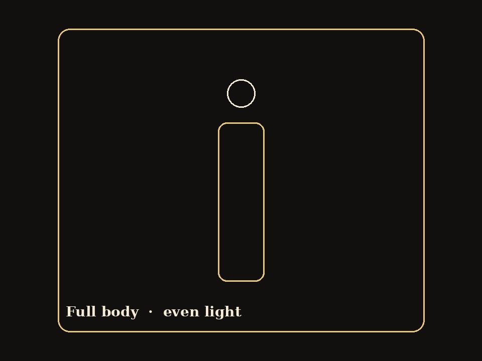 Example of a usable photo: one adult, full body, even light, clothes fully visible.